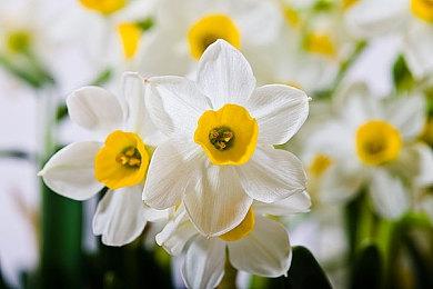 《博德之门3》中还有400多个未知法术待揭晓